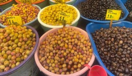 Zeytin alırken nelere dikkat etmeli; Oleolog Kıvrak açıkladı