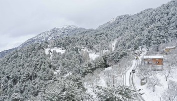 Aydın Valiliği'nden don ve buzlanma uyarısı