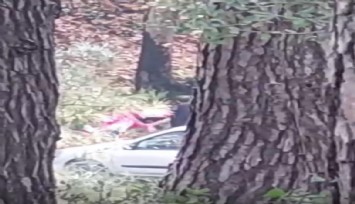 İzmir’de korkunç görüntüler: Ormanlık alanda kadını darp etti