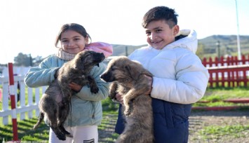 İzmir’in küçükleri hayvan sevgisiyle büyüyor