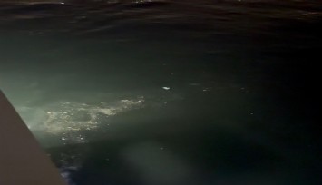 Karşıyaka Sahili’nde korkunç tablo: Körfezde atık alarmı