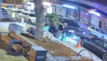 Parktan saksılı ağaç çaldılar: Güvenlik kameralarına yakalandılar