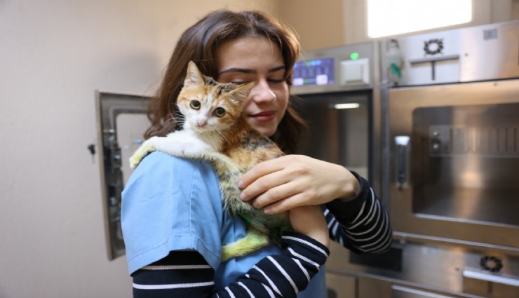 Ağır yaralarına rağmen yaşama tutundu, adı Azim oldu