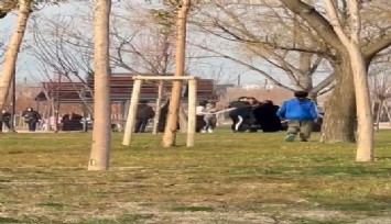 Döner bıçaklı kadın Japon samurayları aratmadı