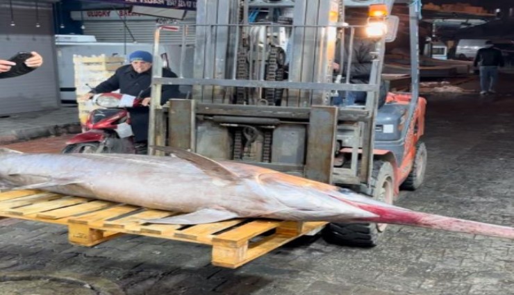 Hatay'da yakaladığı 100 kiloluk kılıç balığını İzmir'deki restorana 40 bin TL karşılığında sattı