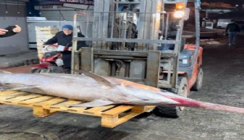 Hatay'da yakaladığı 100 kiloluk kılıç balığını İzmir'deki restorana 40 bin TL karşılığında sattı