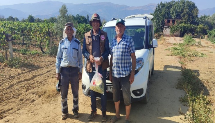 Manisa'da üreticilere yasaklı madde uyarısı