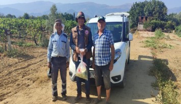 Manisa'da üreticilere yasaklı madde uyarısı