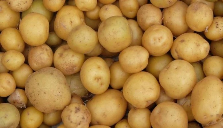 Tunus Türkiye'den giden yüzlerce ton patatesi iade etti