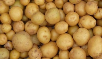 Tunus Türkiye'den giden yüzlerce ton patatesi iade etti