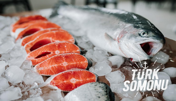 Türk somonu ihracatı 5 yılda 17 kat arttı