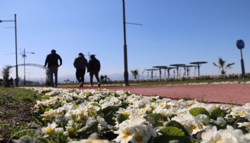 Türkiye genelinde kar, İzmir'de güneş etkili oldu