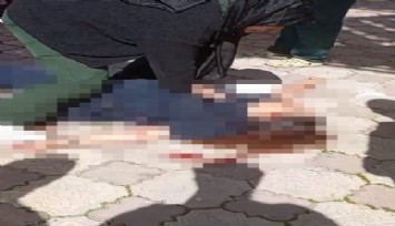 Afyonkarahisar'da cam silerken aşağı düşen kadın yaşamını yitirdi