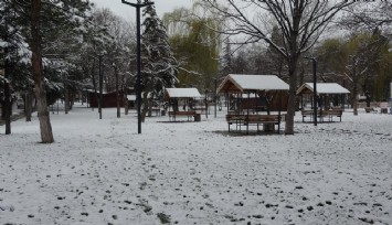 Bahar beyazına kar beyazı karıştı