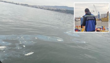 İzmir Körfezi'ne boya döken firmaya bakanlıktan 8.3 milyonluk ceza