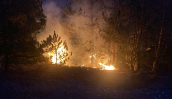 Gediz'deki orman yangını kontrol altına alındı