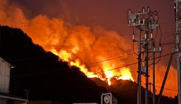 Japonya’da orman yangını alarmı: 2 eyalet alevlere teslim oldu