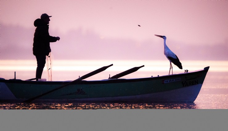 Yaren leylek 14. kez Balıkçı Adem Amca'ya kavuştu