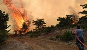 15 Haziran’da başlıyor: Eskişehir ve Afyon’da ormanlara giriş yasaklandı