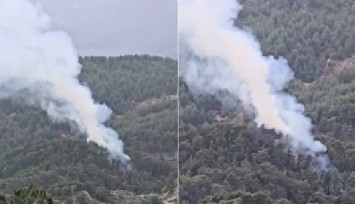 Antalya'da orman yangını: Yangına müdahale sürüyor