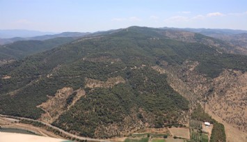 Aydın'da ormanlık alanlara girişler yasaklandı