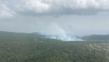 Aydın’daki orman yangını kontrol altına alındı