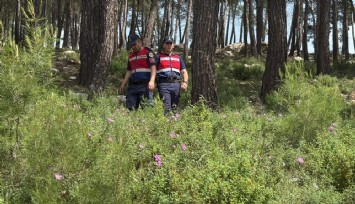 Bodrum’da ormanlara giriş yasaklandı
