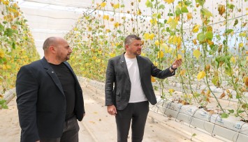 Buca Belediyesi’nin serasına hain saldırı