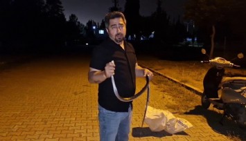 Çamaşır makinesinden çıkardığı yılana nasihat etti