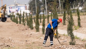 Daha yeşil bir İzmir için ağaçlandırma seferberliği