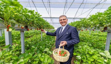 Dikili’de toprak suyla buluştu, üretici bayram sevinci yaşadı