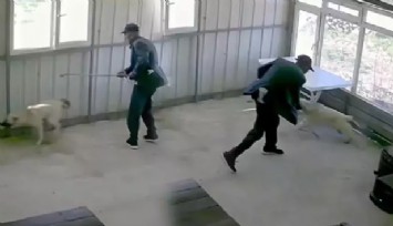 Edirne'de yaşlı adam köpeğe dehşeti yaşattı