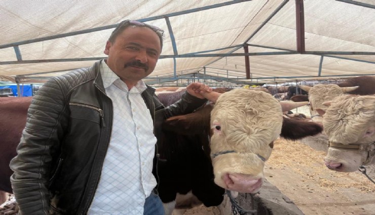 Hayvan sayısı azaldı, fiyatlar arttı: İzmir’de kurbanlık telaşı başladı
