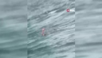 İstanbul Boğazı’nda vapurdan düşen 10 yaşındaki kız çocuğu kurtarıldı