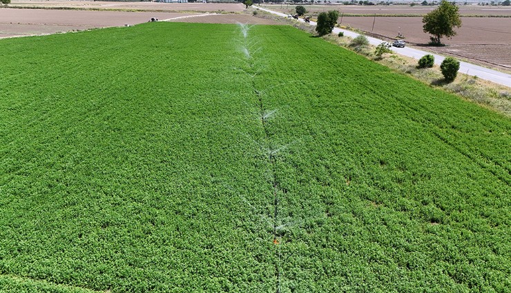 İzmir 2025 yılı sulama sezonu başladı