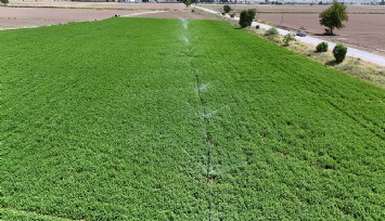 İzmir 2025 yılı sulama sezonu başladı