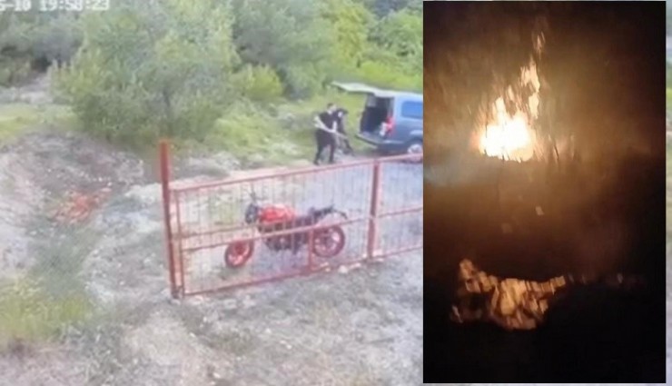 İzmir’de ormanı yakan 5 defineci tutuklandı