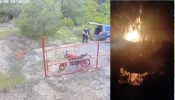 İzmir’de ormanı yakan 5 defineci tutuklandı