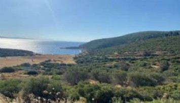 İzmir’de Özel Çevre Koruma Bölgesi’ndeki kamu arazisi önce imara açıldı sonra da satıldı