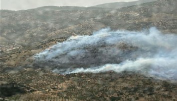 İzmir'de zeytinlik alandaki yangın kontrol altına alındı
