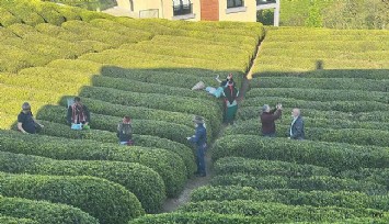 İzmirli gazeteciler Rize'yi keşfetti