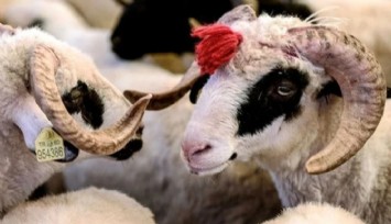 Kurban Bayramı tatili belli oldu