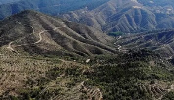 Kütahya'da ormanlara giriş yasaklandı