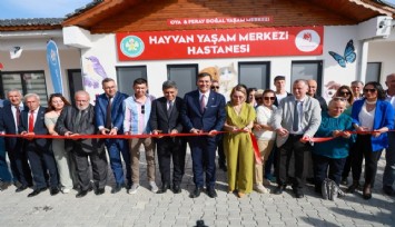 Manisa’da sokak hayvanları için örnek proje hayata geçti