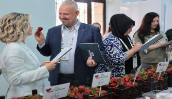 Menemen'de Emiralem Çilek Festivali'ne akın akın: 1 milyonu aşan ziyaretçi geldi