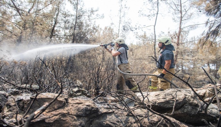 Yangın Risk Haritası oluşturuldu:İzmir’de yaz sezonu öncesi yangın alarmı