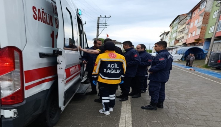 Zonguldak'ta alkollü şahıs yavru köpeği ısırdı