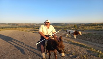 80 bin lira maaşla çoban aranıyor