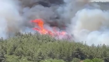 Akhisar'da başlayan orman yangınına müdahale devam ediyor