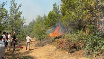 Akhisar'daki orman yangınıyla ilgili gözaltı